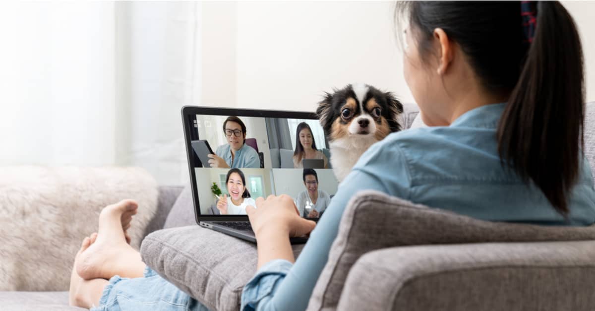 A woman seated on a couch with a dog in her lap, engaged in an online meeting.