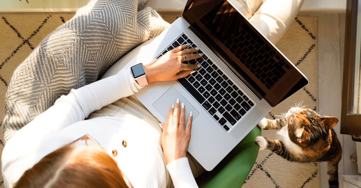 A woman on a couch uses a laptop, accompanied by a cat, illustrating a relaxed and productive atmosphere.