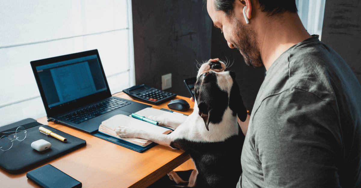 A man working at a desk while a dog sits on his lap, creating a cozy atmosphere.