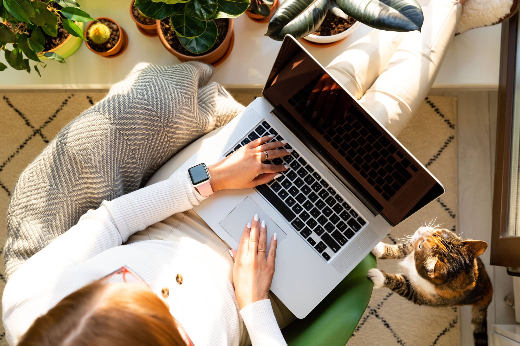 A woman on a chair works on her laptop, accompanied by a cat beside her, depicting a comfortable and inviting atmosphere.